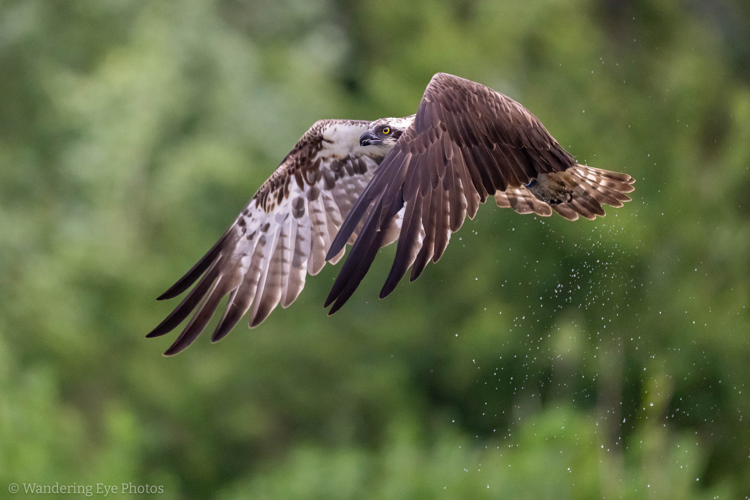 05.31 19.34.07 DSC04508